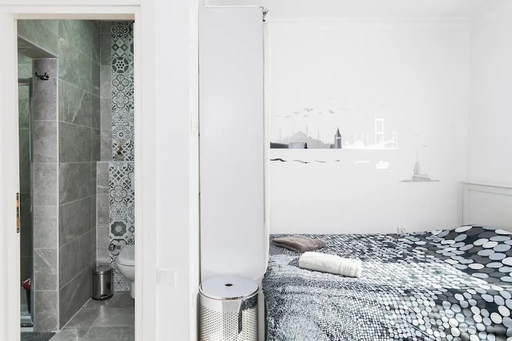 Apartment Cute 1 Room W Ac 300 Meters To Istiklal Street Istanbul Turkey